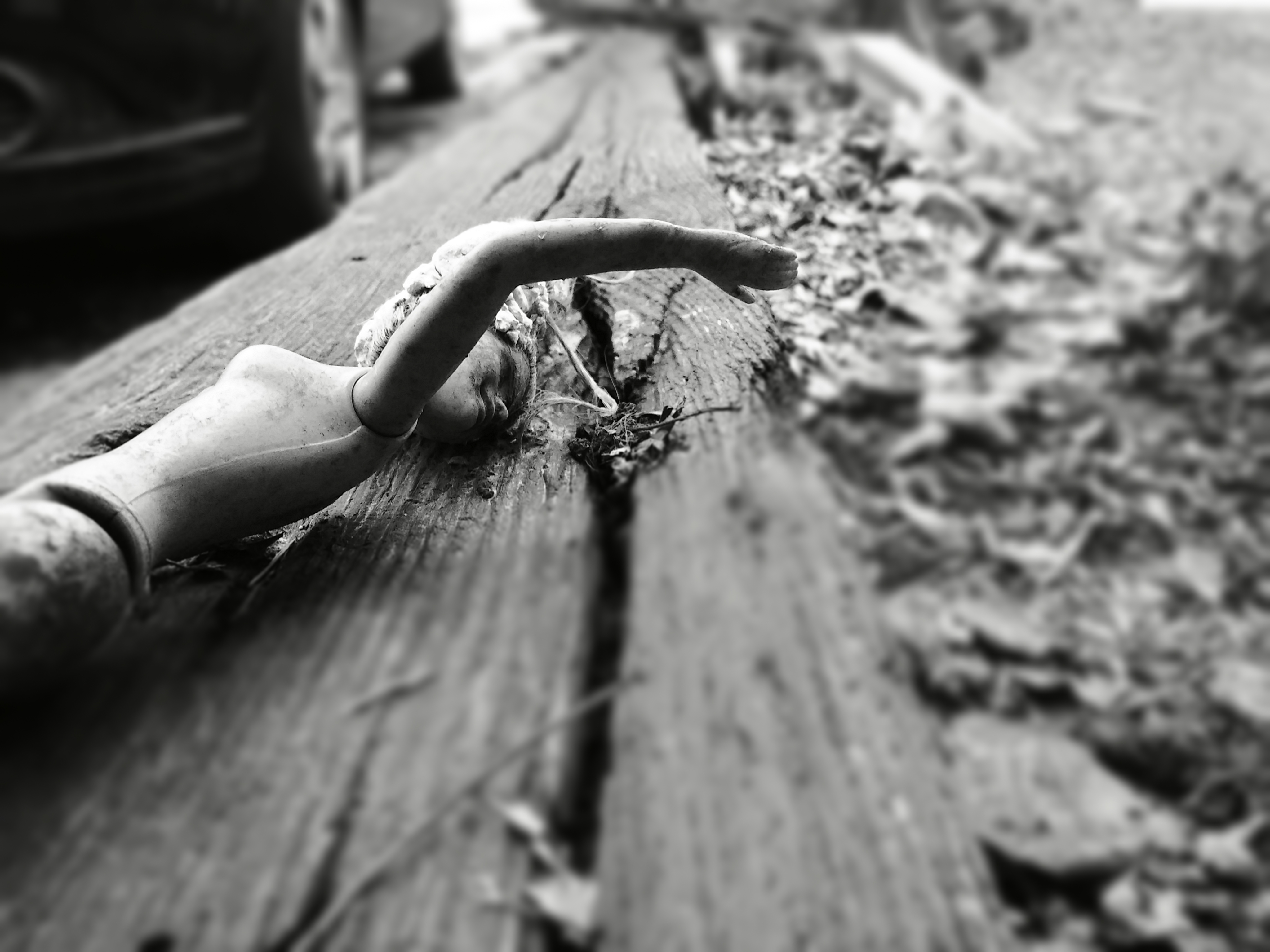 20200121_103055-tilt-shift-1579629379941-5
