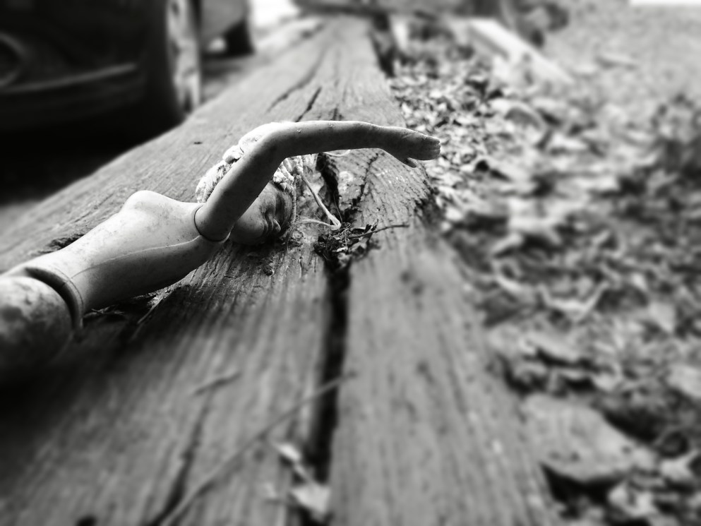 20200121_103055-tilt-shift-1579629379941-5